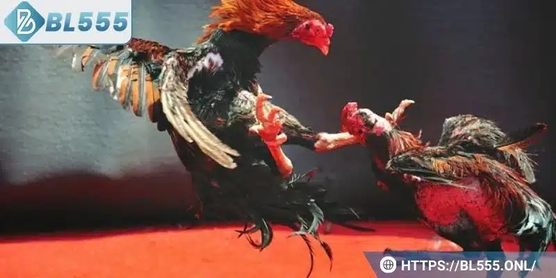 Mẹo chơi giúp người chơi chiến thắng dễ dàng